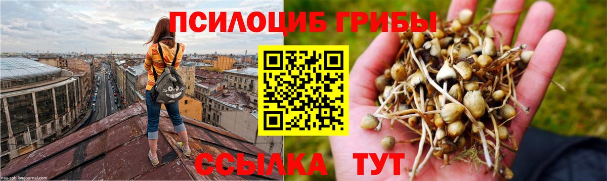Галлюциногенные грибы GOLDEN TEACHER Сальск