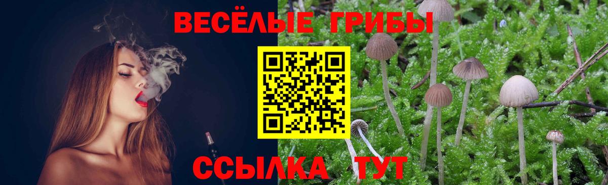 Псилоцибиновые грибы Cubensis  Псилоцибиновые грибы MAGIC MUSHROOMS  Сальск  Вход с VPN 